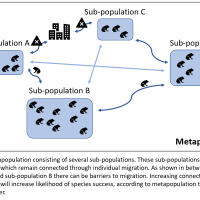 Application of the Metapopulation Theory to Conservation: